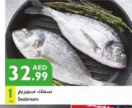 available at Istanbul Supermarket in UAE - Al Ain