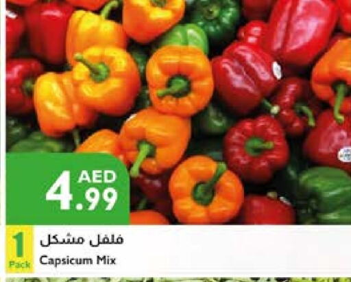 Chilli / Capsicum available at Istanbul Supermarket in UAE - Al Ain