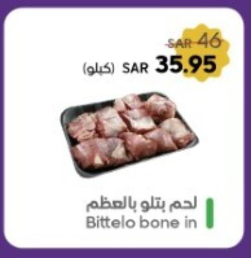 available at Mazaya in KSA, Saudi Arabia, Saudi - Qatif