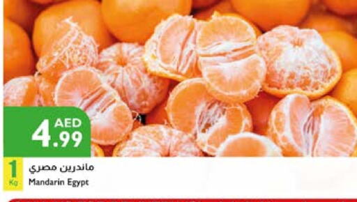 Orange from Egypt available at Istanbul Supermarket in UAE - Al Ain