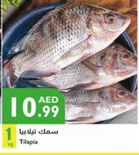 available at Istanbul Supermarket in UAE - Al Ain