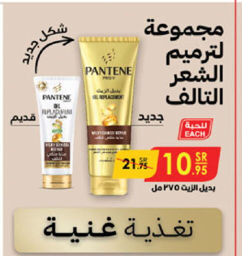 PANTENE available at Danube in KSA, Saudi Arabia, Saudi - Abha