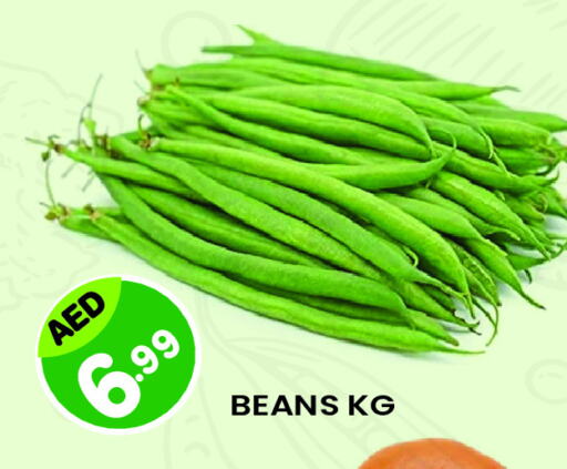 Beans available at Baniyas Spike  in UAE - Al Ain