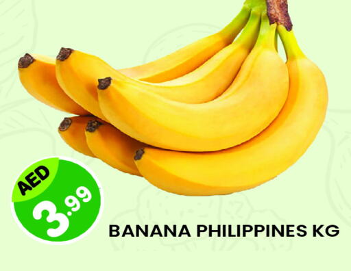 Banana from Philippines available at Baniyas Spike  in UAE - Al Ain