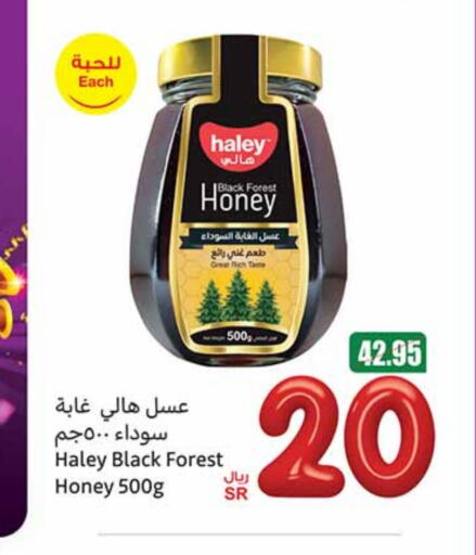 HALEY Honey available at Othaim Markets in KSA, Saudi Arabia, Saudi - Al Duwadimi