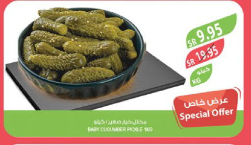 خيار available at المزرعة in مملكة العربية السعودية, السعودية, سعودية - الرياض