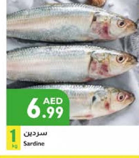 available at Istanbul Supermarket in UAE - Al Ain