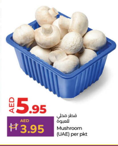 Mushroom available at Lulu Hypermarket in UAE - Fujairah