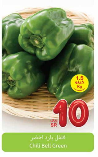 Chilli / Capsicum available at Othaim Markets in KSA, Saudi Arabia, Saudi - Tabuk