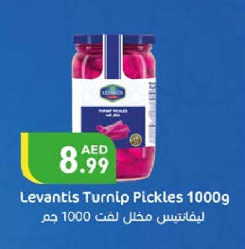 Pickle available at Istanbul Supermarket in UAE - Al Ain