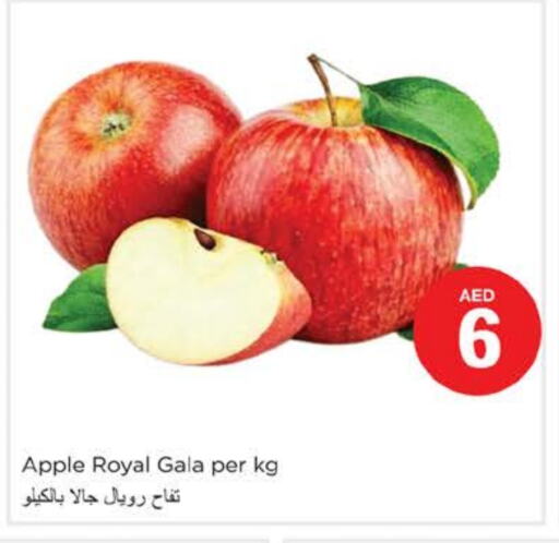 تفاح available at نستو هايبرماركت in الإمارات العربية المتحدة , الامارات - دبي