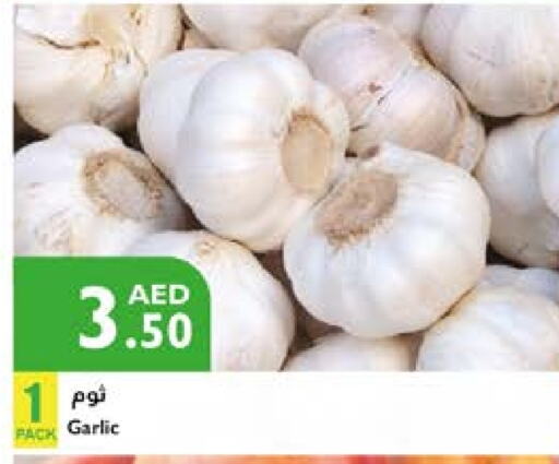 Garlic available at Istanbul Supermarket in UAE - Ras al Khaimah