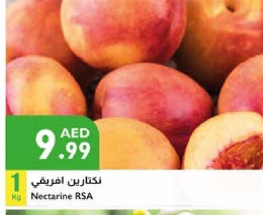 Nectarine available at إسطنبول سوبرماركت in الإمارات العربية المتحدة , الامارات - ٱلْعَيْن‎