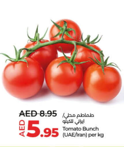 Tomato from Iran available at Lulu Hypermarket in UAE - Dubai