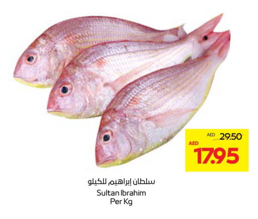 available at Abu Dhabi COOP in UAE - Al Ain