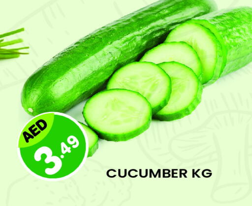 Cucumber available at Baniyas Spike  in UAE - Al Ain