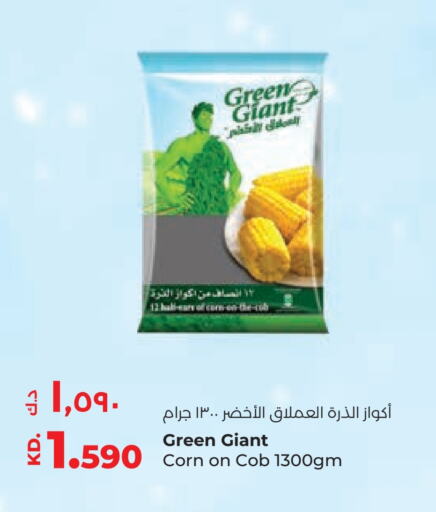 available at لولو هايبر ماركت in الكويت - محافظة الجهراء