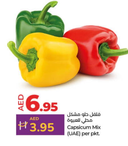 Chilli / Capsicum available at Lulu Hypermarket in UAE - Fujairah