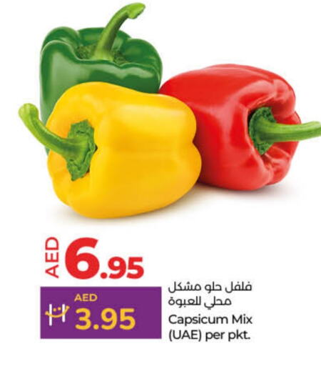 Chilli / Capsicum available at Lulu Hypermarket in UAE - Fujairah