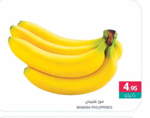 Banana from Philippines available at Muntazah Markets in KSA, Saudi Arabia, Saudi - Qatif