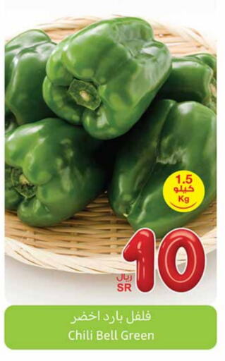 Chilli / Capsicum available at Othaim Markets in KSA, Saudi Arabia, Saudi - Al Hasa