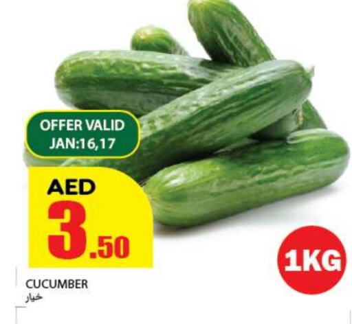 Cucumber available at Rawabi Market Ajman in UAE - Sharjah / Ajman