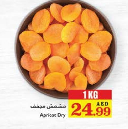 Apricot available at تروليز سوبرماركت in الإمارات العربية المتحدة , الامارات - دبي