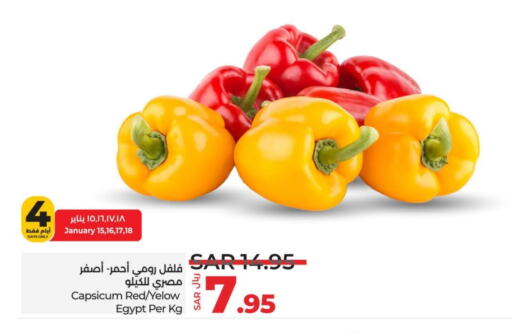 Chilli / Capsicum from Egypt available at LULU Hypermarket in KSA, Saudi Arabia, Saudi - Tabuk