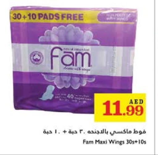 FAM available at Trolleys Supermarket in UAE - Dubai