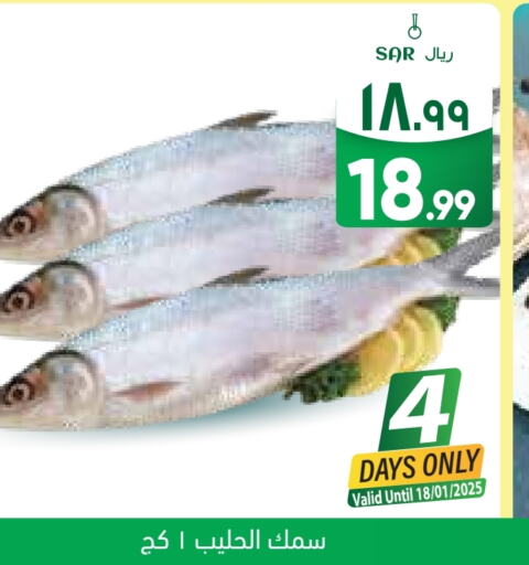 available at ستي فلاور in مملكة العربية السعودية, السعودية, سعودية - الجبيل‎