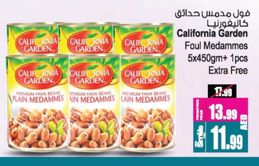 CALIFORNIA GARDEN Fava Beans available at Ansar Gallery in UAE - Dubai