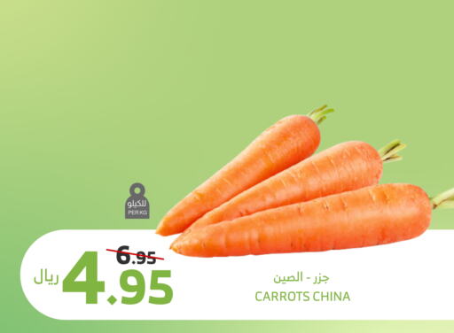 Carrot from China available at Al Raya in KSA, Saudi Arabia, Saudi - Yanbu