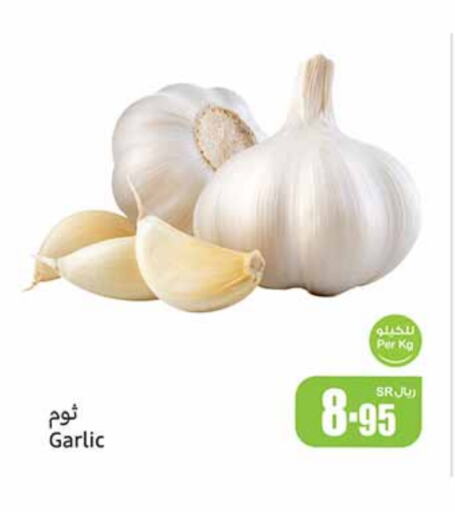 Garlic available at Othaim Markets in KSA, Saudi Arabia, Saudi - Al Duwadimi