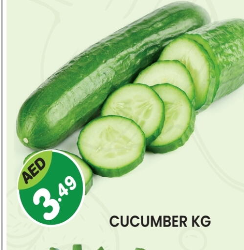 Cucumber available at Baniyas Spike  in UAE - Sharjah / Ajman