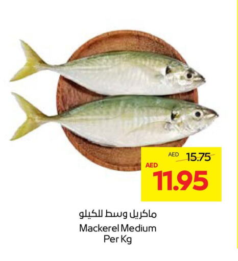 available at Abu Dhabi COOP in UAE - Al Ain