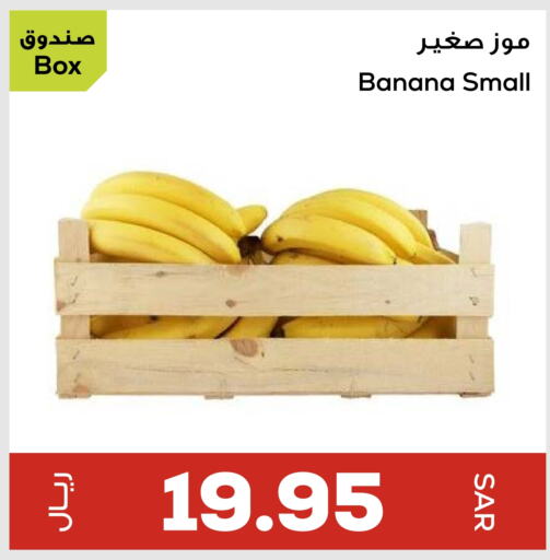 Banana available at Astra Markets in KSA, Saudi Arabia, Saudi - Tabuk