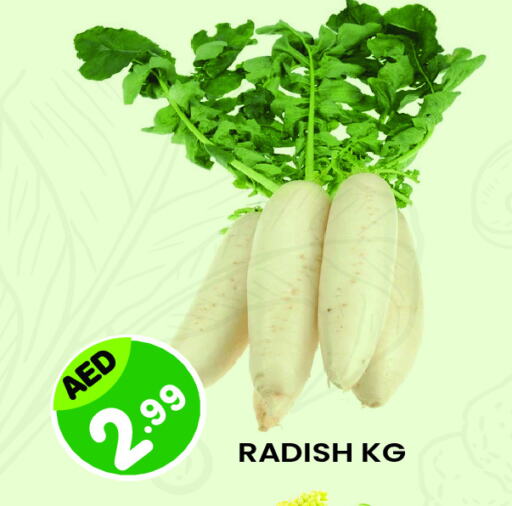 Radish available at Baniyas Spike  in UAE - Al Ain