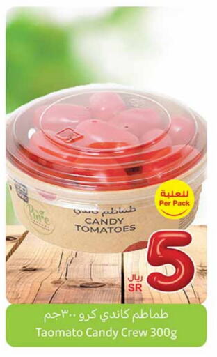 Tomato available at Othaim Markets in KSA, Saudi Arabia, Saudi - Jubail