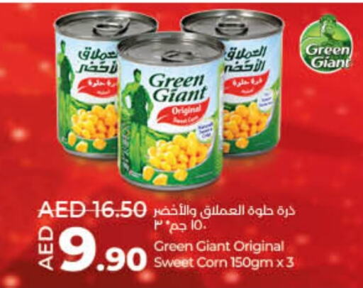 غرين جاينت available at لولو هايبرماركت in الإمارات العربية المتحدة , الامارات - ٱلْفُجَيْرَة‎