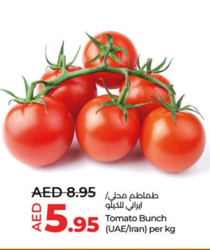 Tomato from Iran available at Lulu Hypermarket in UAE - Dubai