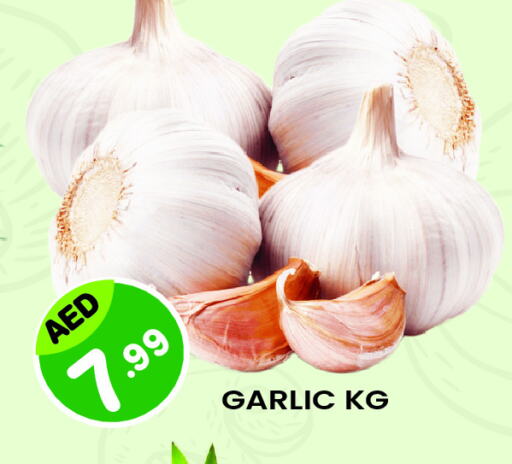 Garlic available at Baniyas Spike  in UAE - Al Ain