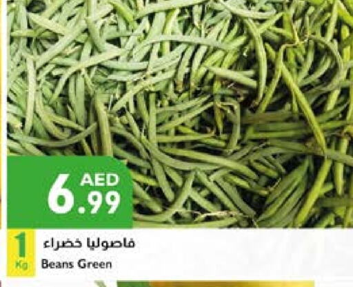 Beans available at Istanbul Supermarket in UAE - Sharjah / Ajman