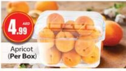 Apricot available at Gulf Hypermarket LLC in UAE - Ras al Khaimah