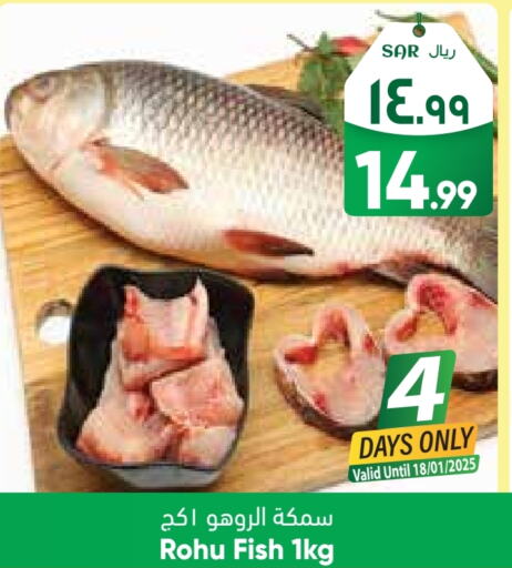 available at ستي فلاور in مملكة العربية السعودية, السعودية, سعودية - الجبيل‎