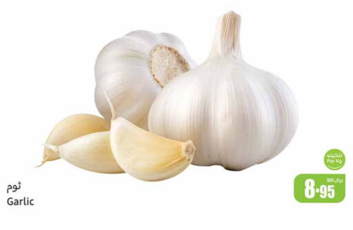 Garlic available at Othaim Markets in KSA, Saudi Arabia, Saudi - Tabuk