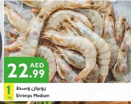 available at Istanbul Supermarket in UAE - Al Ain