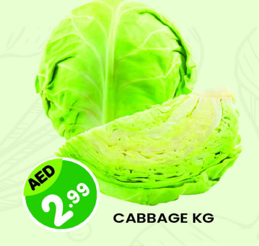 Cabbage available at Baniyas Spike  in UAE - Al Ain