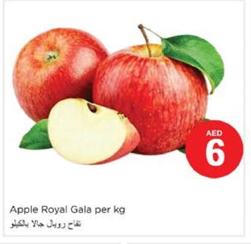 تفاح available at نستو هايبرماركت in الإمارات العربية المتحدة , الامارات - دبي