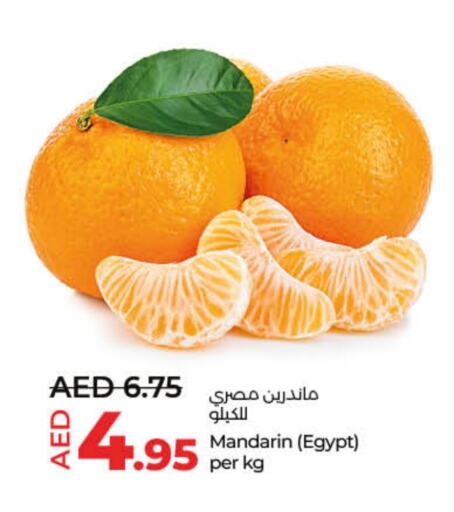 Orange from Egypt available at Lulu Hypermarket in UAE - Umm al Quwain