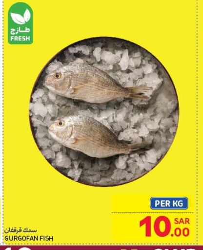 available at Carrefour in KSA, Saudi Arabia, Saudi - Riyadh